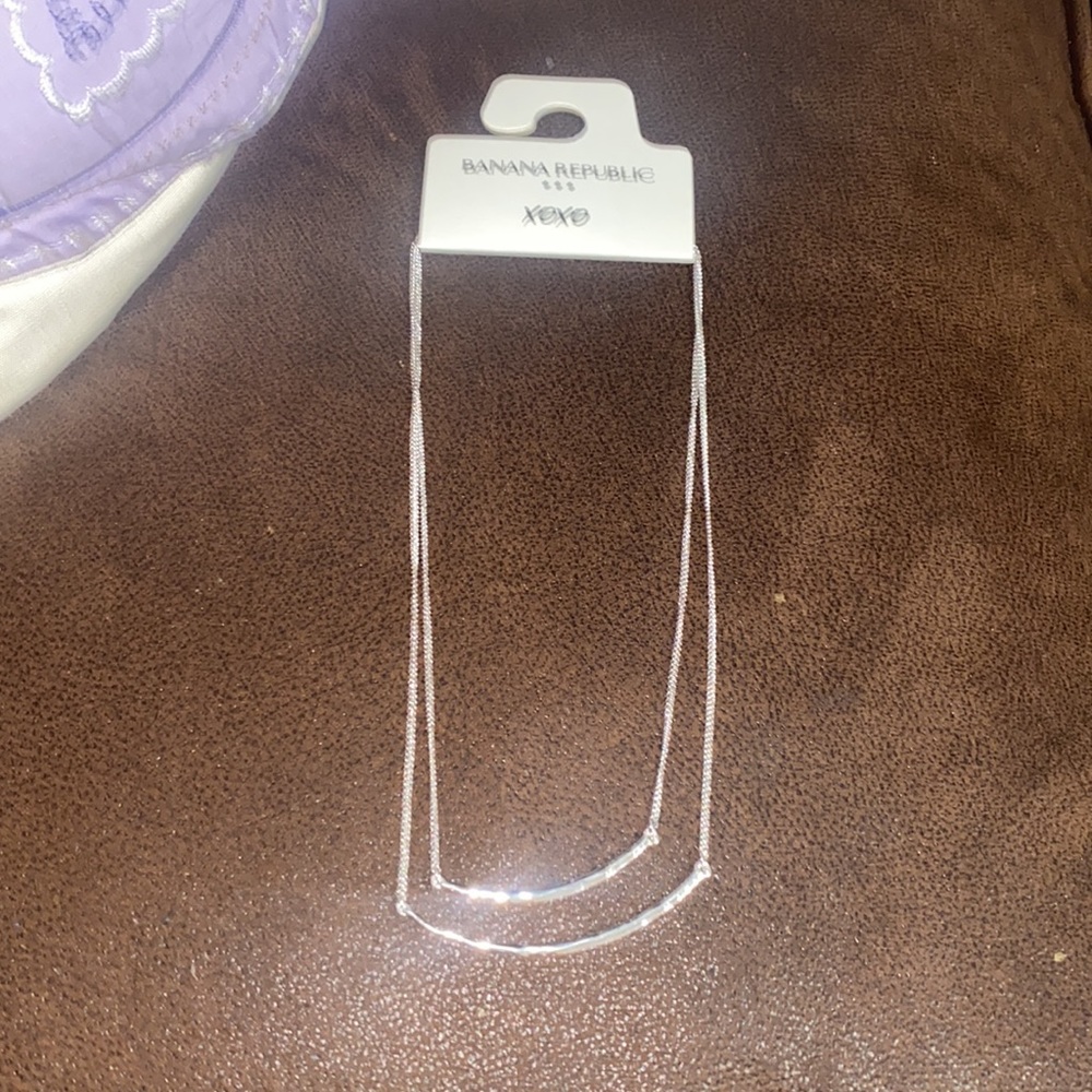 Banana Republic Silvertone Double Stand Necklace